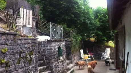 Terrasse mit Gästen der Hundepension